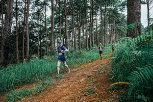 BIB: 
                            <button type="button" onclick="openModal(25690513)" class="btn btn-primary btn-sm float-right btn-popup" data-toggle="modal" data-target=".modal-high-quality">
                        <i class="fas fa-shopping-cart"></i> Add to Cart
                    </button>
                                            <button type="button" onclick="isThisMe(25690513, true)" class="btn btn-success btn-sm float-right btn-popup btn-isme hidden" data-toggle="tooltip" data-placement="bottom" title="นี่คือรูปของคุณใช่ไหม คลิกที่นี่เพื่อเอาเข้าอัลบั้ม">
                        <i class="fas fa-plus"></i> Add to album
                    </button>
                    <button type="button" onclick="isThisMe(25690513, false)" class="btn btn-warning btn-sm float-right btn-popup btn-isnotme hidden">
                        <i class="fas fa-ban"></i> Remove from album
                    </button>